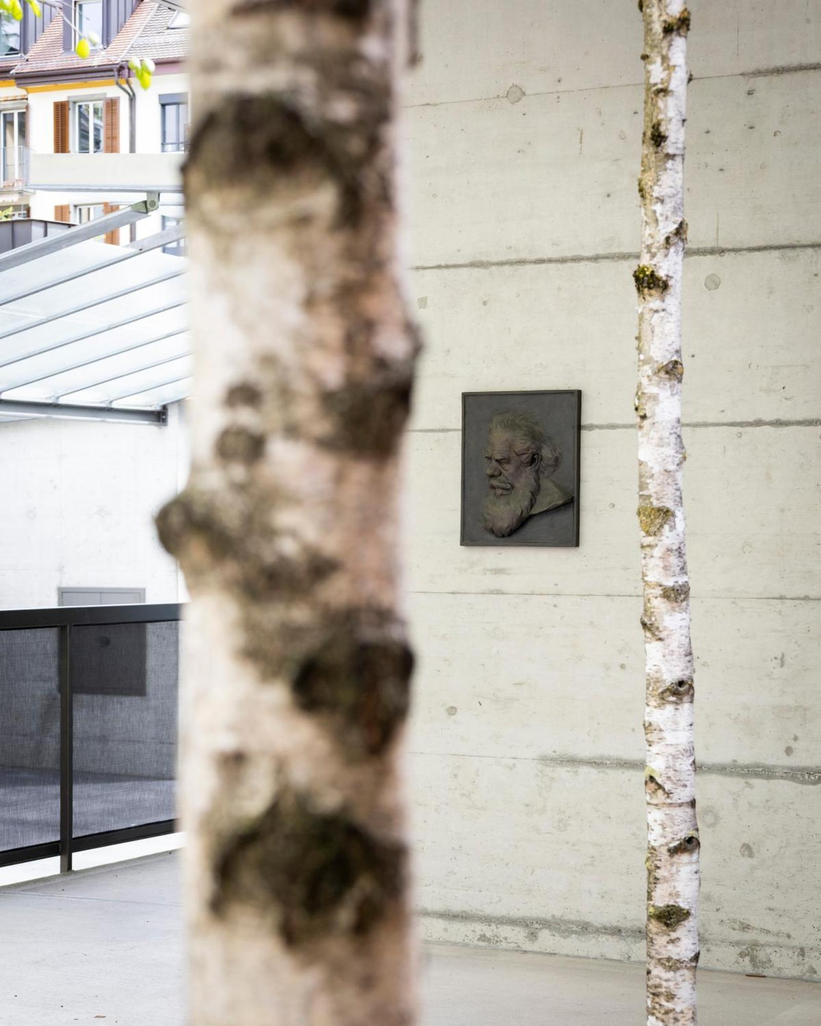 Greulich Design & Boutique Hotel Zurych Zewnętrze zdjęcie